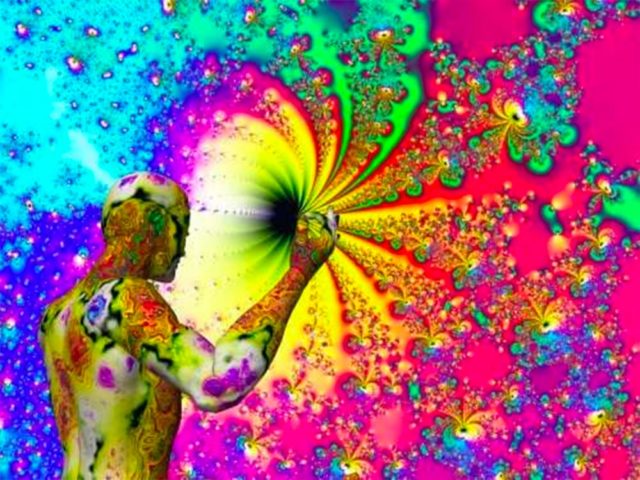 Ayahuasca Ceremony - The Portal