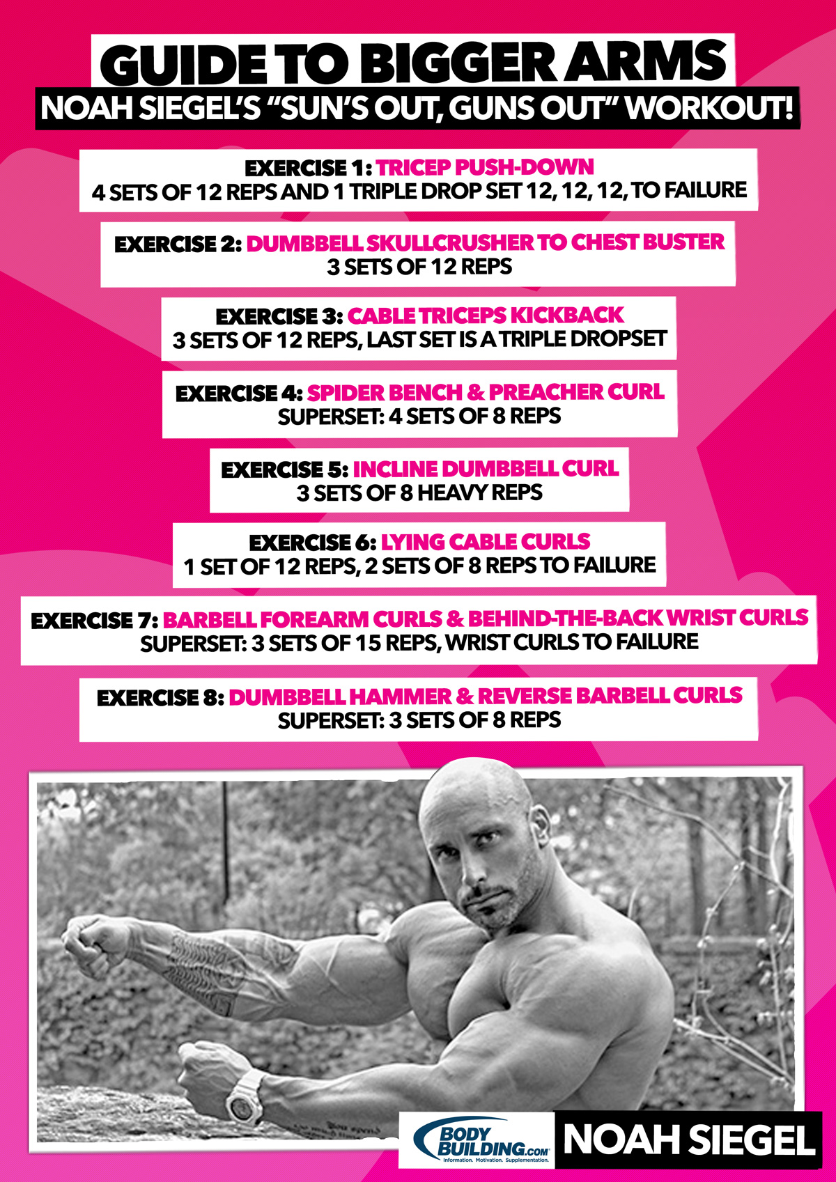 Noah Siegel's Guide to Bigger Arms